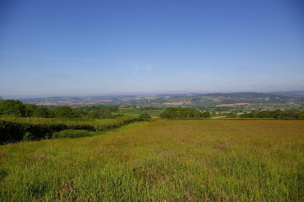 Wyke Farm Axminster Bagian luar foto