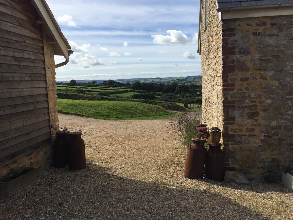 Wyke Farm Axminster Bagian luar foto