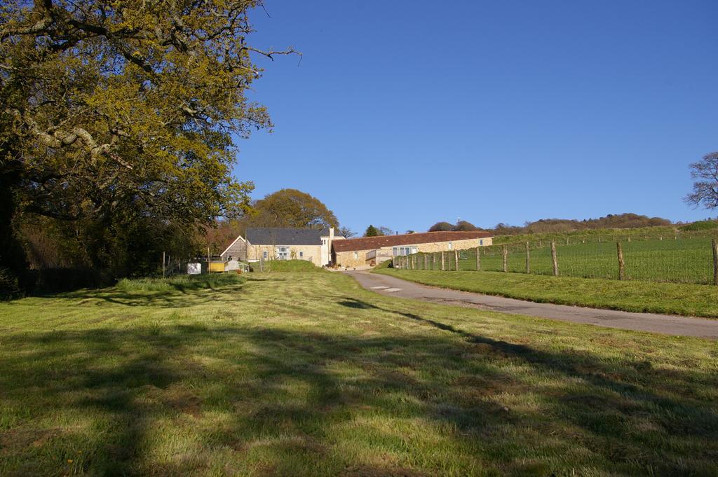Wyke Farm Axminster Bagian luar foto